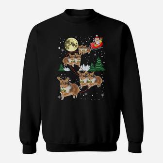 Funny Reindeer Sheltie Xmas Christmas Dog Lovers Gift Sweatshirt Sweatshirt | Crazezy CA