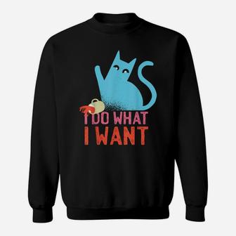 Funny Retro Rebel Cat I Do What I Want Cat Lovers Sweatshirt | Crazezy CA