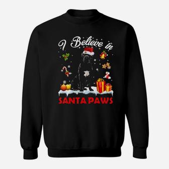 Funny Santa Cane Corso Claus Dog Sweatshirt - Monsterry