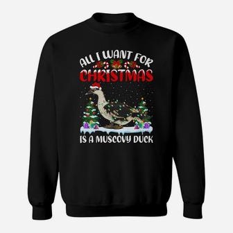 Funny Santa Hat All I Want For Christmas Is A Muscovy Duck Sweatshirt | Crazezy AU