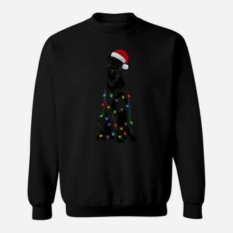 Giant Schnauzer Christmas Lights Xmas Dog Lover Sweatshirt Sweatshirt | Crazezy
