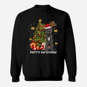 Great Dane Christmas Lights Tree Santa Xmas Pajamas Dog Dad Sweatshirt | Crazezy AU