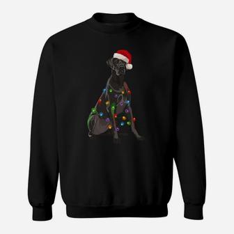Great Dane Christmas Lights Xmas Dog Lover Santa Hat Sweatshirt | Crazezy