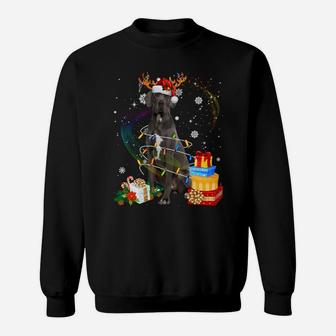 Great Dane Reindeer Christmas Lights Funny Dog Xmas Gift Sweatshirt | Crazezy