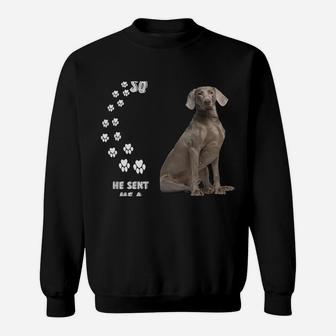 Grey Hunting Dog Quote Mom Weim Dad Costume, Cute Weimaraner Sweatshirt | Crazezy UK