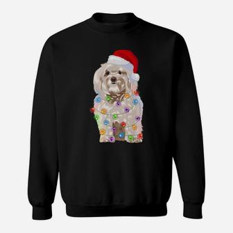 Havanese Christmas Lights Xmas Dog Lover Santa Hat Sweatshirt | Crazezy DE