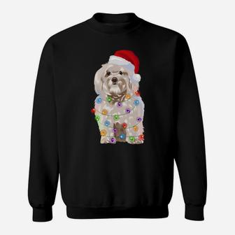 Havanese Christmas Lights Xmas Dog Lover Santa Hat Sweatshirt Sweatshirt | Crazezy