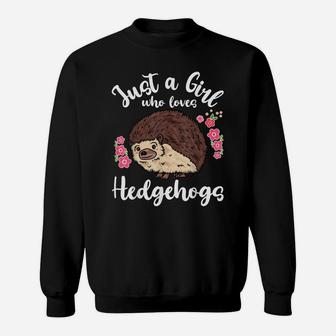 Hedgehog Just A Girl Who Loves Hedgehogs Sweatshirt | Crazezy