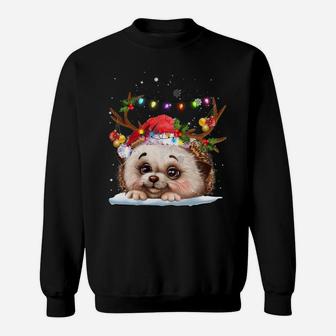 Hedgehogs Reindeer Xmas Lighsts Christmas Ornaments Xmas Sweatshirt Sweatshirt | Crazezy