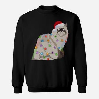 Himalayan Cat Christmas Lights Xmas Cat Lover Sweatshirt Sweatshirt | Crazezy