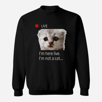 I Am Here Live I Am Not A Cat Sweatshirt - Thegiftio UK