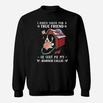 I Asked Santa For A Friend He Sent Me My Border Collie Sweatshirt - Monsterry UK