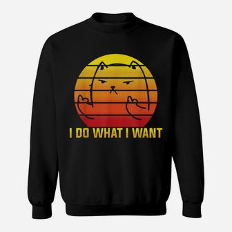 I Do What I Want - Funny Retro Vintage Cat Lover Quote Sweatshirt | Crazezy