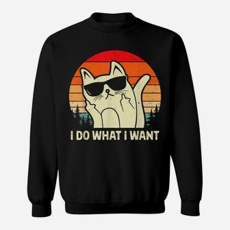 I Do What I Want Sunglasses Vintage Funny Cat Lovers Tee Sweatshirt | Crazezy