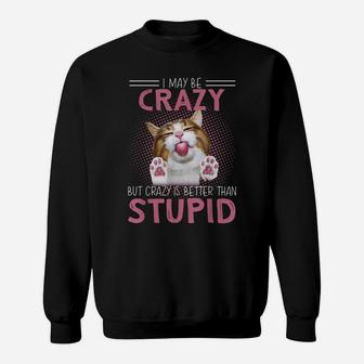I May Be Crazy But Crazy Is Better Than Stupid Cat Lovers Sweatshirt | Crazezy CA