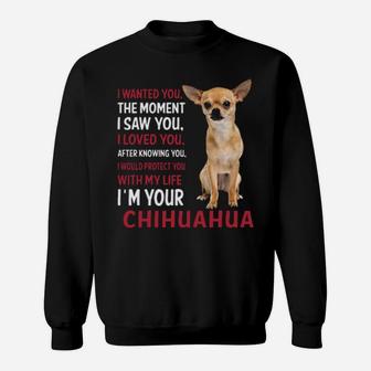 I Wanted You The Moment I'm Your Chihuahua Sweatshirt - Monsterry DE