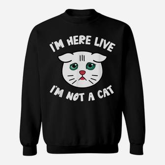I'm Here Live I'm Not A Cat Filter Lawyer Meme Funny Kitten Sweatshirt | Crazezy