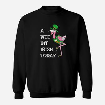 Irish Flamingo Saint Patricks Day Leprechaun Hat Bird Sweatshirt - Monsterry AU