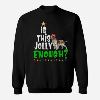 Is This Jolly Enough Xmas Welsh Springer Spaniel Sweatshirt - Monsterry