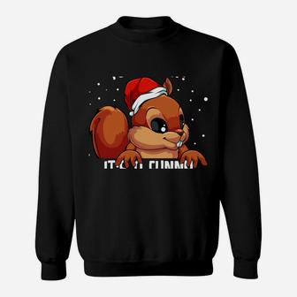 It's A Funny Squeaky Sound Christmas Squirrel Gift Idea Sweatshirt | Crazezy