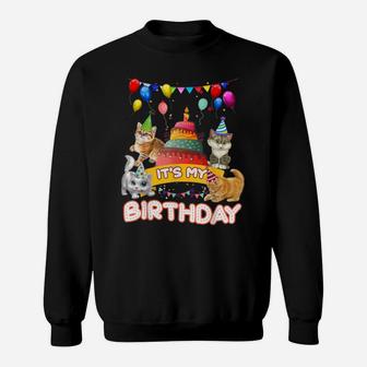It's My Birthday Cat And Kitten Party Day Girl's And Boy's Sweatshirt | Crazezy