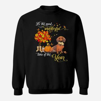 It's The Most Wonderful Time Of The Year Dachshund Dog Sweatshirt - Monsterry UK
