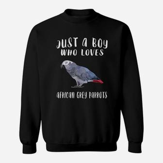 Just A Boy Who Loves African Grey Parrot Bird Lover Sweatshirt | Crazezy AU