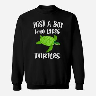 Just A Boy Who Loves Sea Turtles Ocean Animal Gift Sweatshirt | Crazezy