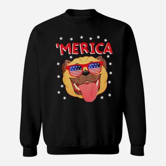 Kids Merica Pug 4Th Of July Women Boys Girls Dog Sweatshirt - Monsterry DE