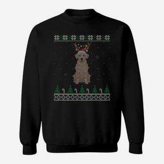 Labrador Reindeer Santa Hat Christmas Tree Xmas Light Gift Sweatshirt | Crazezy DE