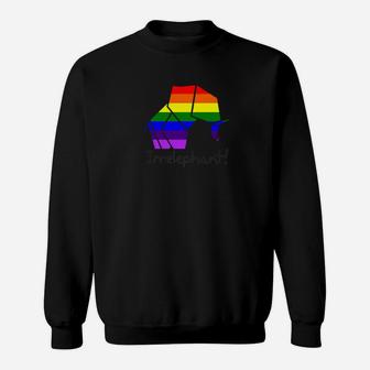 Lgbt Rainbow Colors Elephant Irrelephant Gift Unisex Sweatshirt - Thegiftio UK
