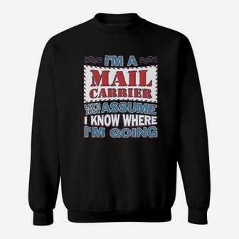 Mail Carrier Postal Worker Gift Sweatshirt - Thegiftio UK