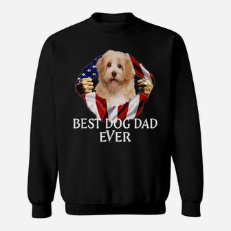 Mens Best Dog Dad Ever Cavachon Dog American Flag Sweatshirt | Crazezy