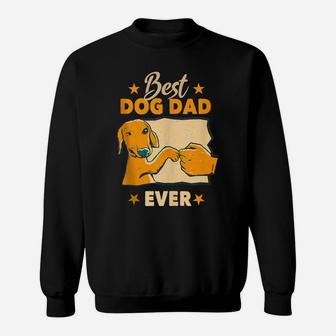Mens Dogs And Dog Dad - Best Friends Gift Father Men Sweatshirt | Crazezy
