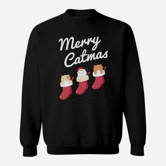 Merry Catmas Christmas Cats In Socks Kitty Cat Lover Gift Sweatshirt | Crazezy DE