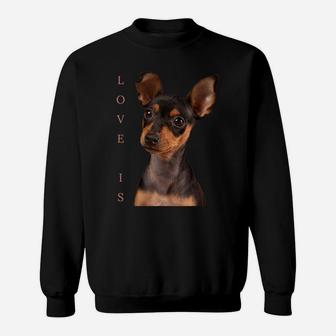 Miniature Pinscher Shirt Dog Mom Dad Tshirt Love Puppy Pet Sweatshirt | Crazezy