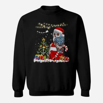 Owl Christmas Xmas Light Tree Ornaments Santa Lover Gift Sweatshirt Sweatshirt | Crazezy UK