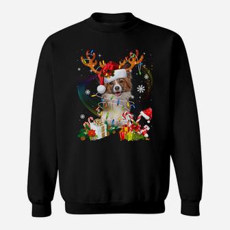Papillon Reindeer Christmas Lights Funny Dog Xmas Gift Sweatshirt Sweatshirt | Crazezy