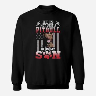 Pitbull He Is My Son Sweatshirt - Monsterry UK