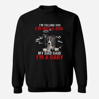 Pitbull I Am Telling You I Am Not A Dog My Dad Said I Am A Baby Sweatshirt | Crazezy UK