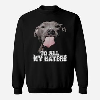 Pitbull To All My Haters Sweatshirt - Monsterry