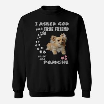 Pomahuahua Dog Mom, Chimeranian Dad Chi Pom Pun, Cute Pomchi Sweatshirt | Crazezy