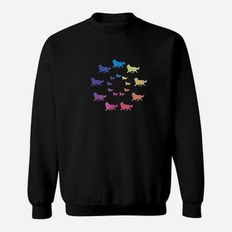 Rainbow Circle Of Shetland Sheepdogs Sweatshirt | Crazezy UK