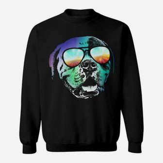 Retro Disco Dog American Bulldog Sweatshirt | Crazezy UK