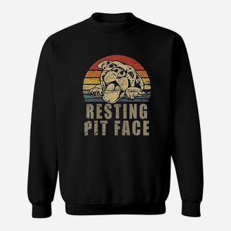 Retro Vintage Resting Pit Face Pitbull Sweatshirt | Crazezy UK