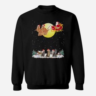 Santa And Kittens Sweatshirt - Monsterry