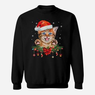 Santa Cat Holiday Christmas Graphic Cat Lovers Gifts Sweatshirt | Crazezy UK
