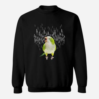 Screaming Green Quaker Parrot Sweatshirt | Crazezy DE