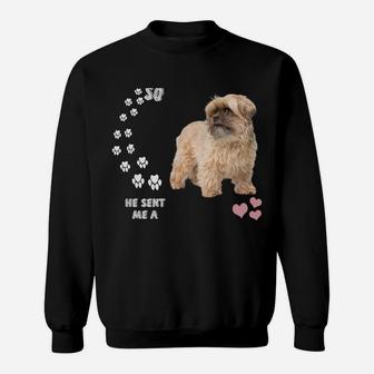 Shorkie Tzu Dog Mom, Yorkie Tzu Dad Costume, Cute Shorkie Sweatshirt Sweatshirt | Crazezy