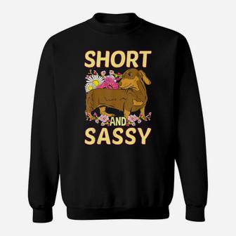 Short And Sassy Cute Flower Dachshund Tee Weiner Dog Sweatshirt | Crazezy CA